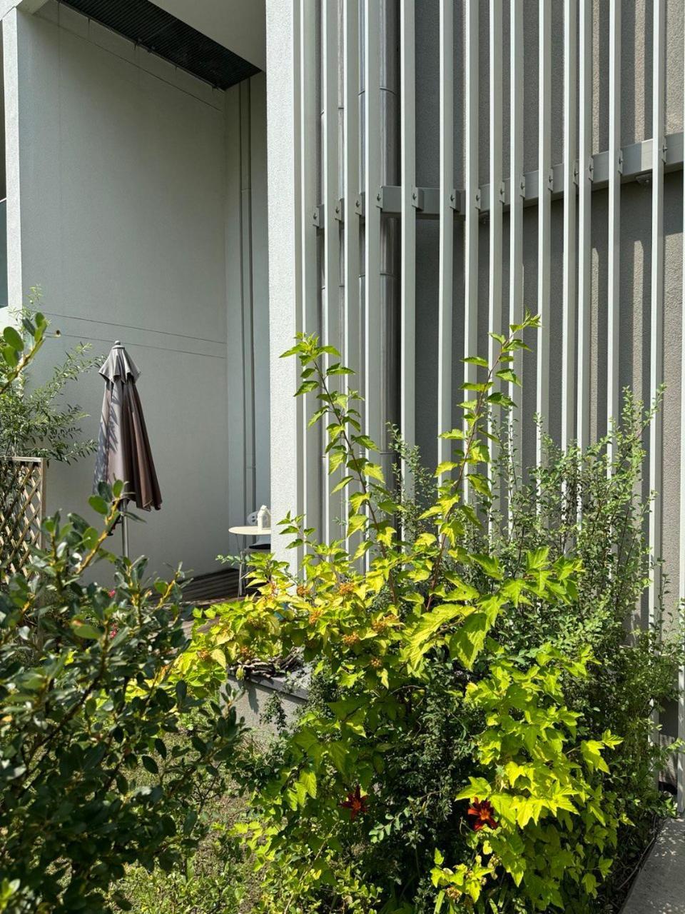 Cosy Splendor / City Center Γκρατς Εξωτερικό φωτογραφία