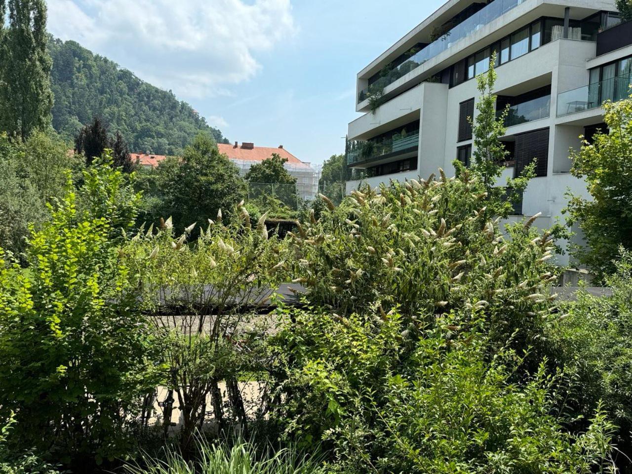 Cosy Splendor / City Center Γκρατς Εξωτερικό φωτογραφία
